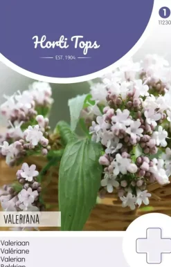 Horti tops zaden echte valeriaan