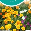 Horti tops zaden eschscholtzia, slaapmutsje enkelbloemig gemengd