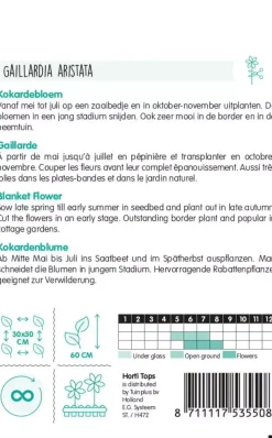 Horti tops zaden Gaillardia, Kokardebloem