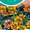 Horti tops zaden gazania sunshine gemengd