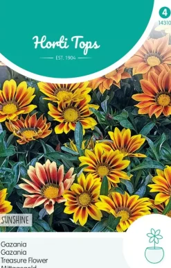 Horti tops zaden gazania sunshine gemengd