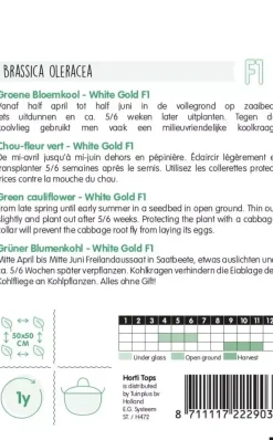 Horti tops zaden groene bloemkool, white gold