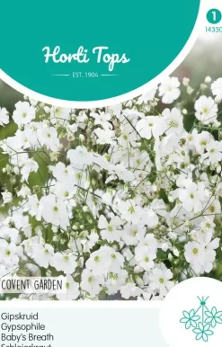Horti tops zaden Gypsophila, Gipskruid covent garden wit