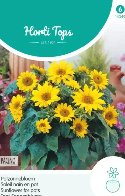 Horti tops zaden helianthus, potzonnebloem pacino