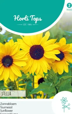Horti tops zaden helianthus, zonnebloem stella