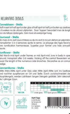 Horti tops zaden helianthus, zonnebloem stella