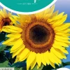Horti tops zaden helianthus, zonnebloem giganteus
