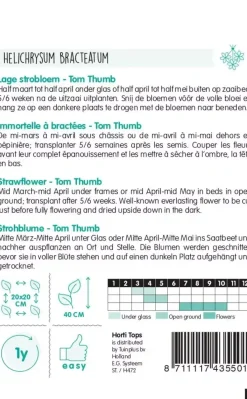 Horti tops zaden helichrysum, lage strobloem tom thumb