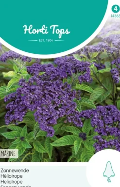 Horti tops zaden heliotropium, zonnewende marine blauw