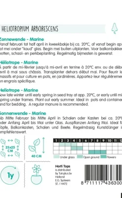 Horti tops zaden heliotropium, zonnewende marine blauw