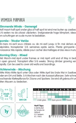Horti tops zaden ipomoea, klimmende winde gemengd