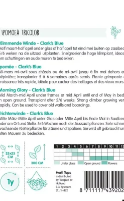 Horti tops zaden ipomoea, klimmende winde clark's blue