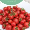 Horti tops zaden kerstomaat tiny tim