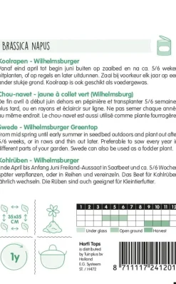 Horti tops zaden Koolraap Wilhelmsburger, type Friese
