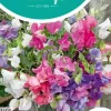 Horti tops zaden lathyrus, reuk- of siererwt bijou gemengd