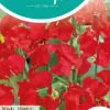 Horti tops zaden lathyrus, reuk- of siererwt royal family rood