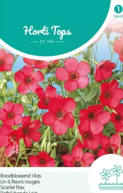 Horti tops zaden linum, roodbloeiend vlas