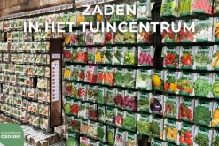 Horti tops zaden lobelia parelsnoer gemengd