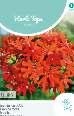 Horti tops zaden lychnis, brandende liefde