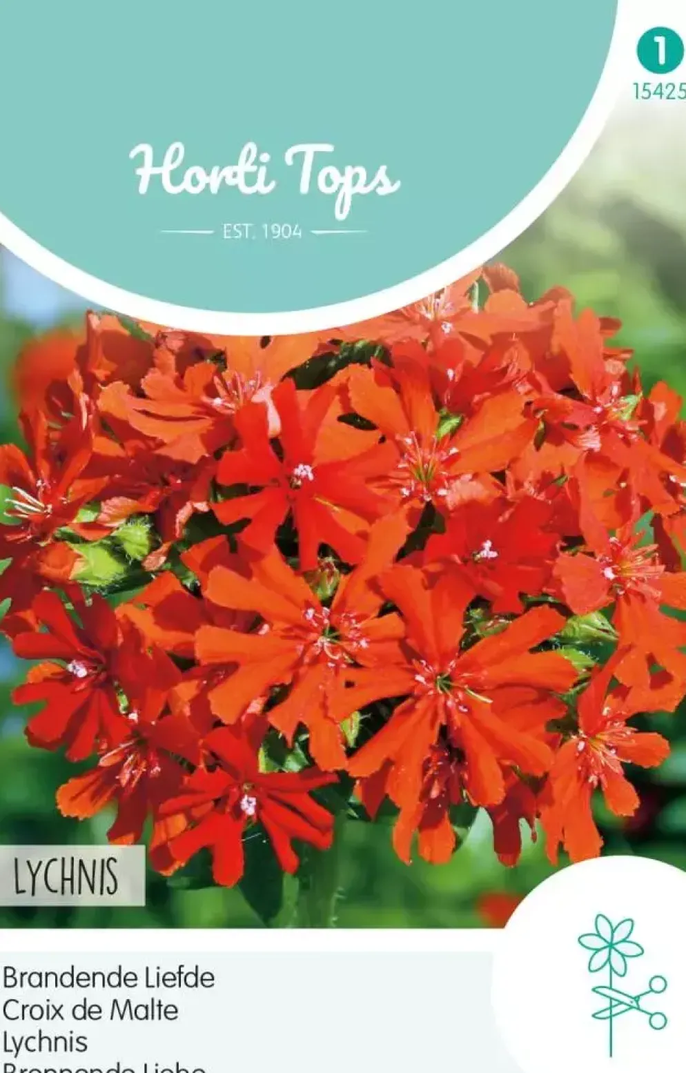 Horti tops zaden lychnis, brandende liefde