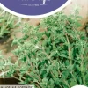 Horti tops zaden majoraan