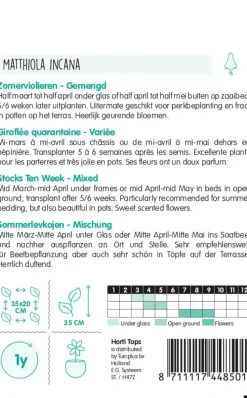 Horti tops zaden Matthiola, Zomerviolier gemengd