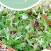 Horti tops zaden mesclun, frans salademengsel