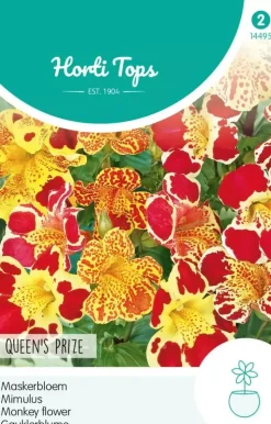 Horti tops zaden mimulus, maskerbloem queen's prize