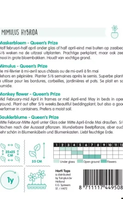 Horti tops zaden mimulus, maskerbloem queen's prize