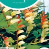 Horti tops zaden Mina Lobata, Spaanse vlag Quamoclit