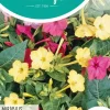 Horti tops zaden mirabilis, nachtschone gemengd
