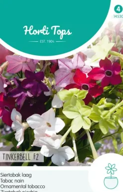 Horti tops zaden nicotiana, siertabak tinkerbell