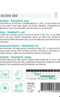 Horti tops zaden nicotiana, siertabak tinkerbell
