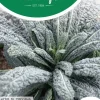 Horti tops zaden palmkool nero di toscane