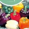 Horti tops zaden Paprika 5 kleuren