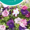 Horti tops zaden petunia laag gemengd