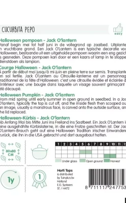 Horti tops zaden pompoen jack o'lantern