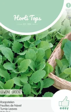 Horti tops zaden raapstelen groene
