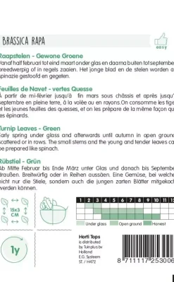 Horti tops zaden raapstelen groene