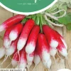 Horti tops zaden radijs halflang rode groot wit