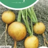 Horti tops zaden rapen goldana (goudbal kortlof)