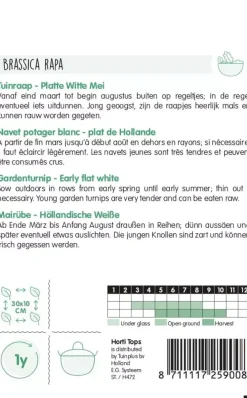 Horti tops zaden rapen platte witte mei