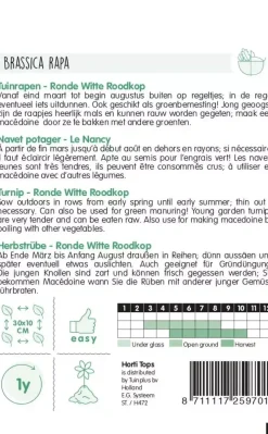 Horti tops zaden rapen ronde witte roodkop (nancy)
