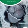 Horti tops zaden rodekool langedijker allervroegste
