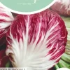 Horti tops zaden roodlof radicchio rossa di chioggia (palla rossa)