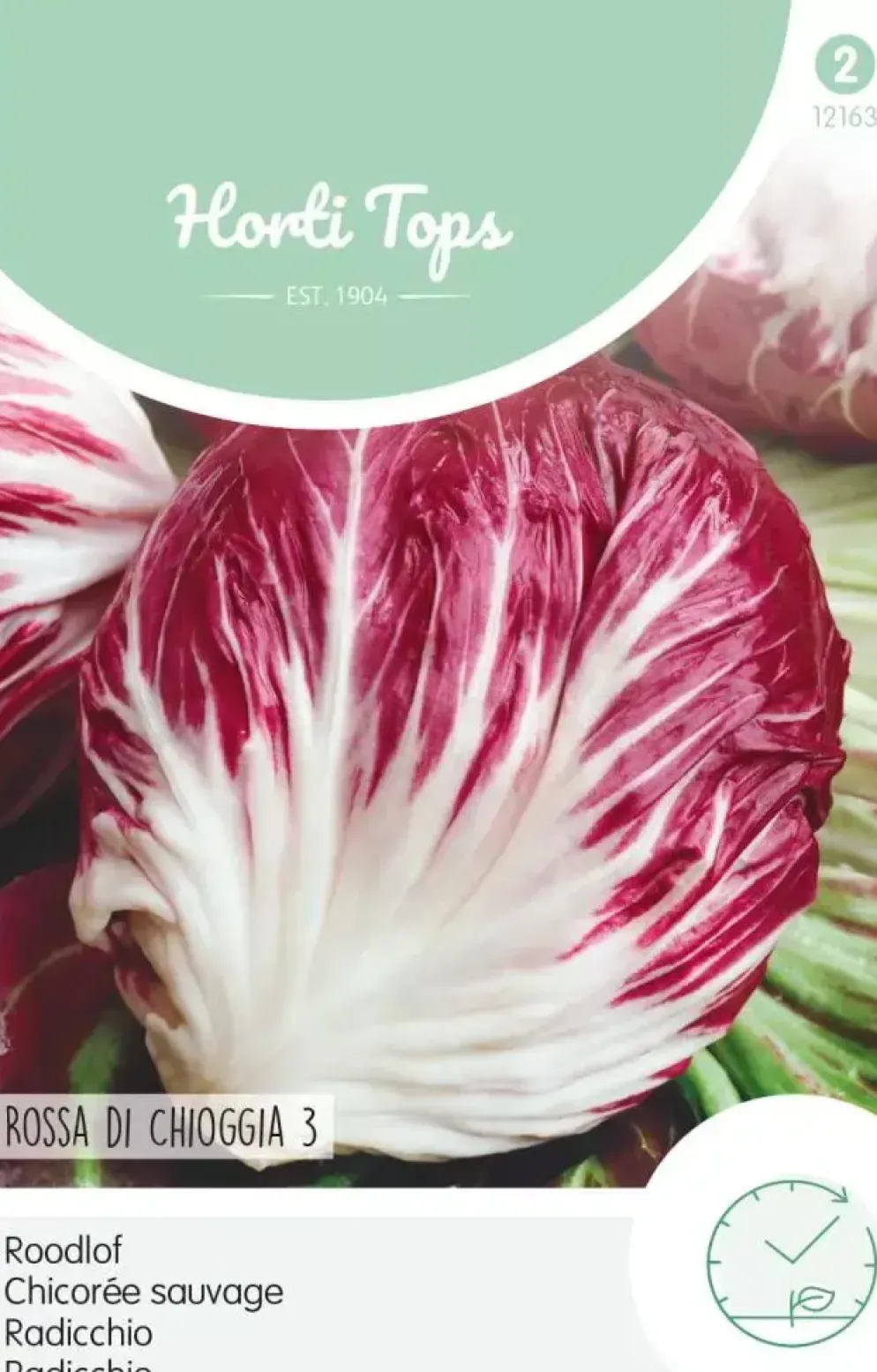Horti tops zaden roodlof radicchio rossa di chioggia (palla rossa)