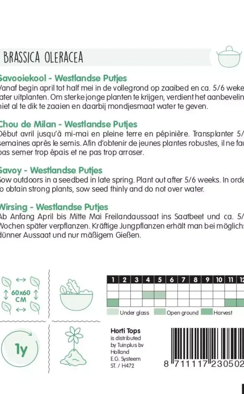 Horti tops zaden Savooiekool Donkergroene Putjes