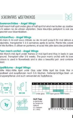 Horti tops zaden schizanthus, boerenochidee angel wings