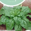 Horti tops zaden spinazie winterreuzen