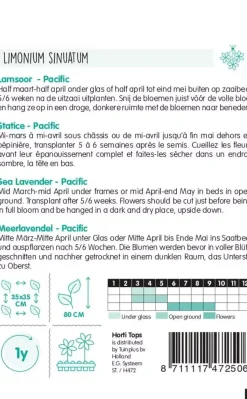 Horti tops zaden statice, lamsoor pacific gemengd